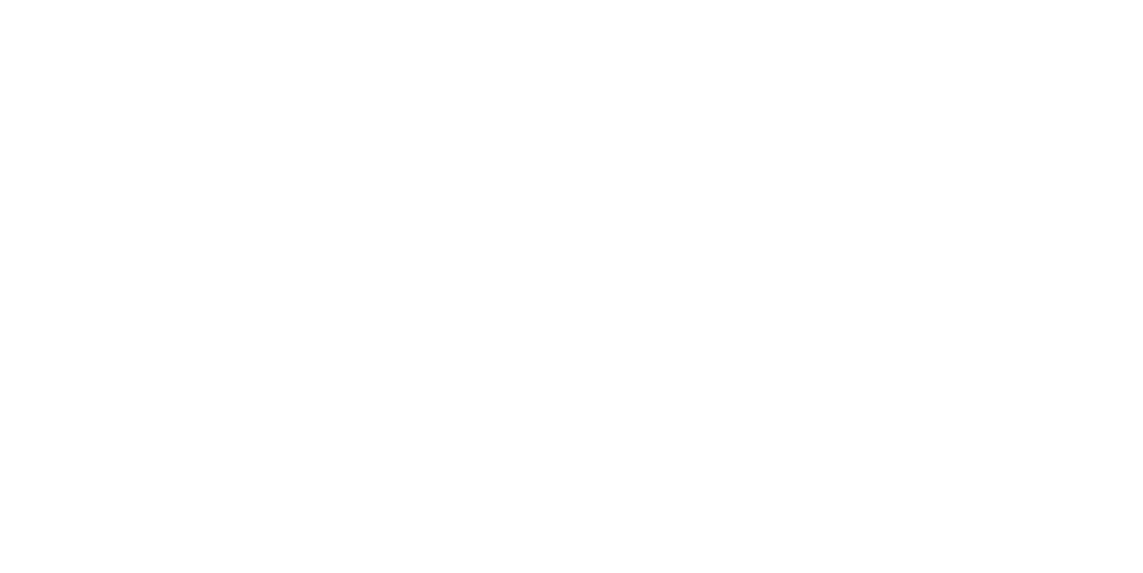 MVP Execs LLC